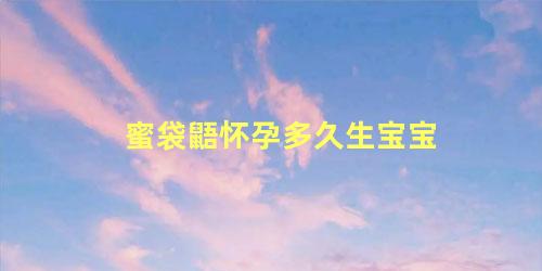 蜜袋鼯怀孕多久生宝宝
