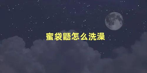 蜜袋鼯怎么洗澡