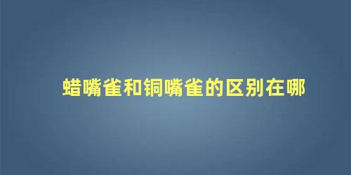 蜡嘴雀和铜嘴雀的区别在哪
