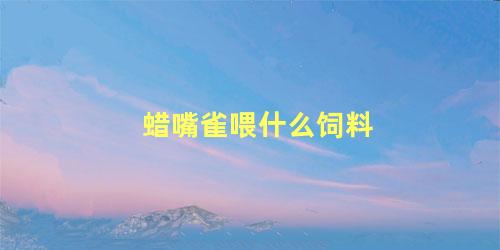 蜡嘴雀喂什么饲料