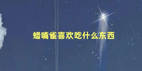 蜡嘴雀喜欢吃什么东西