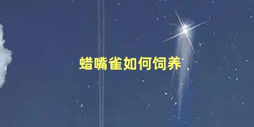 蜡嘴雀如何饲养