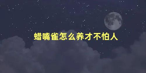 蜡嘴雀怎么养才不怕人