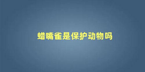 蜡嘴雀是保护动物吗