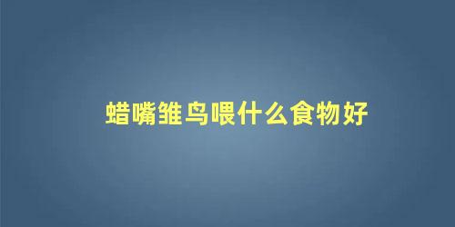 蜡嘴雏鸟喂什么食物好