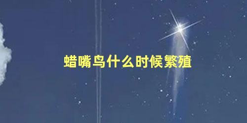 蜡嘴鸟什么时候繁殖