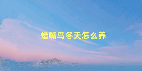 蜡嘴鸟冬天怎么养