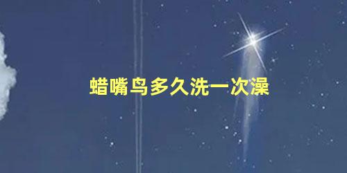蜡嘴鸟多久洗一次澡