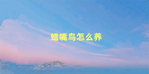 蜡嘴鸟怎么养