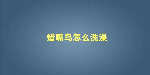 蜡嘴鸟怎么洗澡
