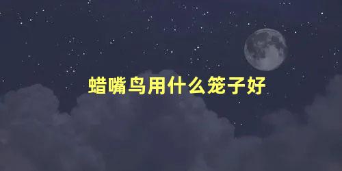 蜡嘴鸟用什么笼子好