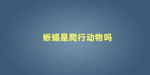 蜥蜴是爬行动物吗