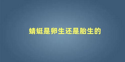 蜻蜓是卵生还是胎生的