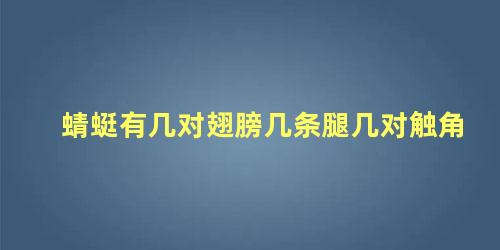 蜻蜓有几对翅膀几条腿几对触角