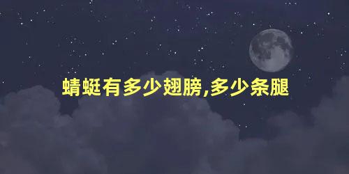 蜻蜓有多少翅膀,多少条腿