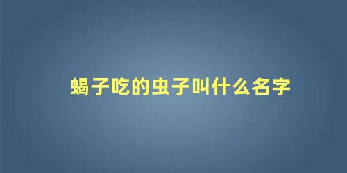 蝎子吃的虫子叫什么名字