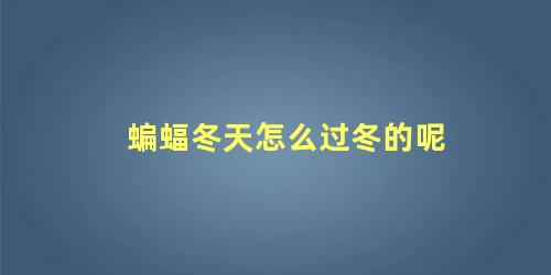 蝙蝠冬天怎么过冬的呢