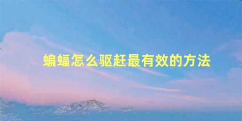 蝙蝠怎么驱赶最有效的方法