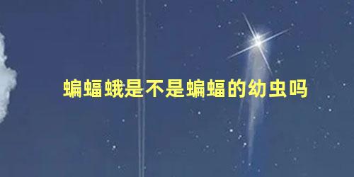 蝙蝠蛾是不是蝙蝠的幼虫吗