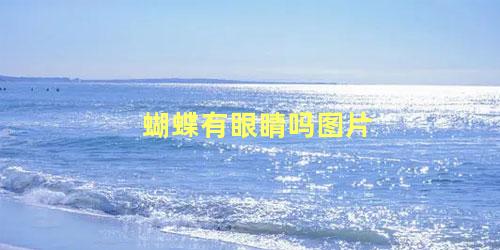 蝴蝶有眼睛吗图片