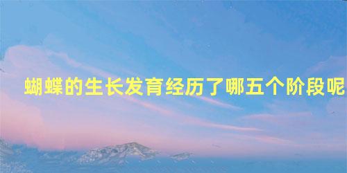 蝴蝶的生长发育经历了哪五个阶段呢
