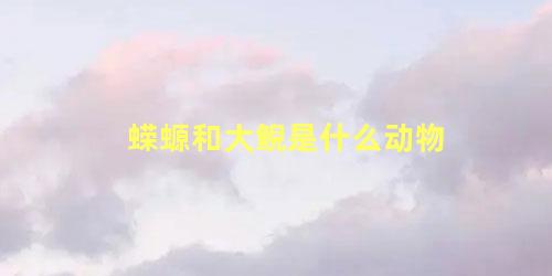 蝾螈和大鲵是什么动物