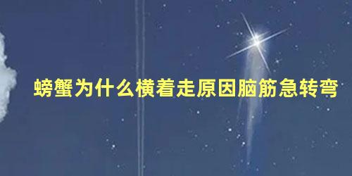 螃蟹为什么横着走原因脑筋急转弯