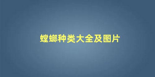 螳螂种类大全及图片
