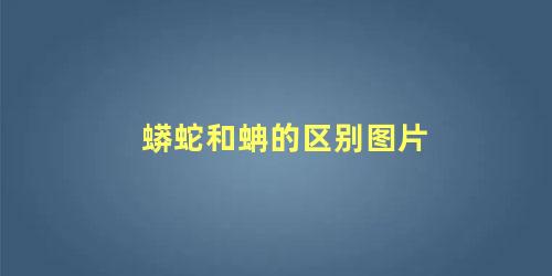 蟒蛇和蚺的区别图片
