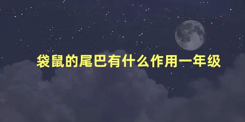 袋鼠的尾巴有什么作用一年级
