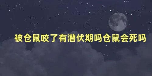 被仓鼠咬了有潜伏期吗仓鼠会死吗