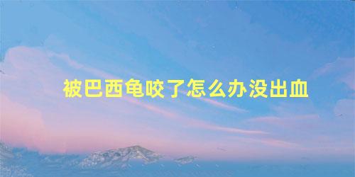 被巴西龟咬了怎么办没出血