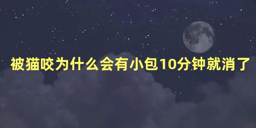 被猫咬为什么会有小包10分钟就消了