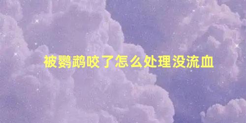 被鹦鹉咬了怎么处理没流血
