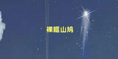 裸眶山鸠
