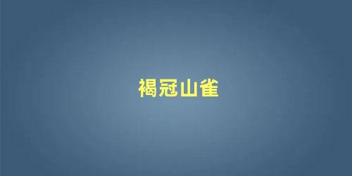 褐冠山雀