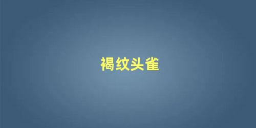 褐纹头雀