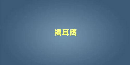褐耳鹰