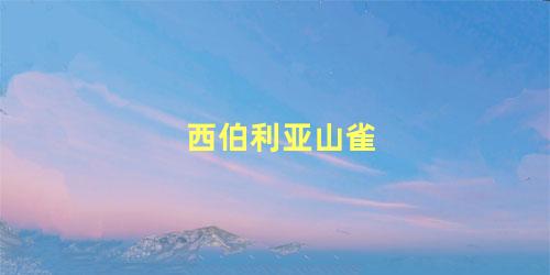 西伯利亚山雀