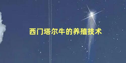 西门塔尔牛的养殖技术