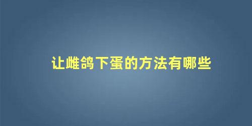让雌鸽下蛋的方法有哪些