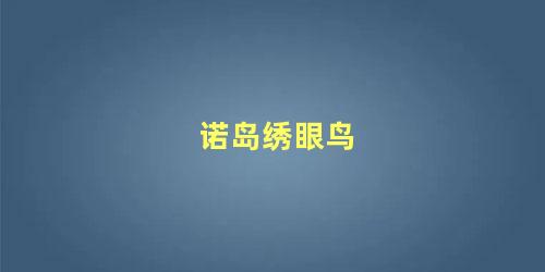 诺岛绣眼鸟