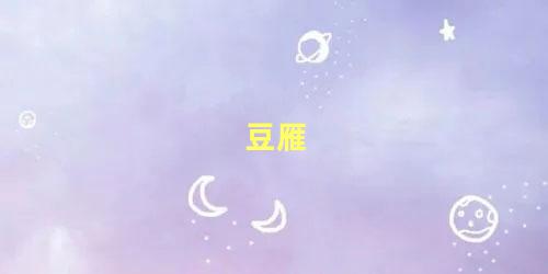 豆雁
