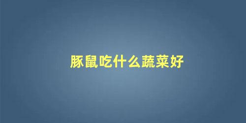 豚鼠吃什么蔬菜好
