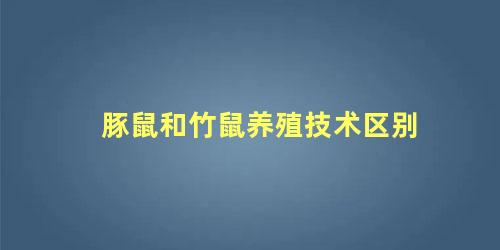 豚鼠和竹鼠养殖技术区别
