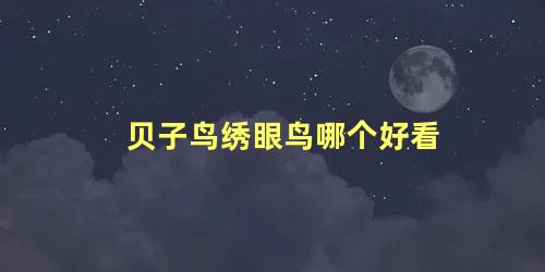 贝子鸟绣眼鸟哪个好看
