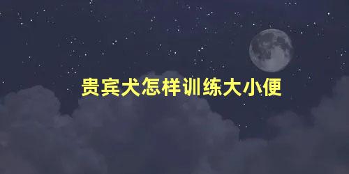 贵宾犬怎样训练大小便