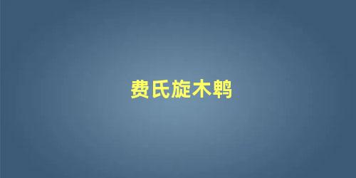 费氏旋木鹎