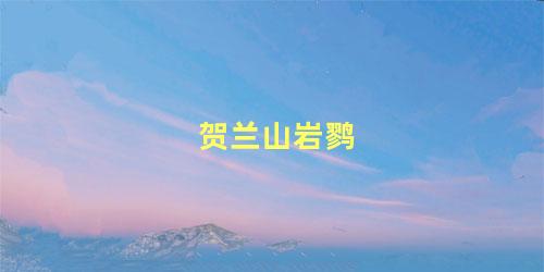 贺兰山岩鹨