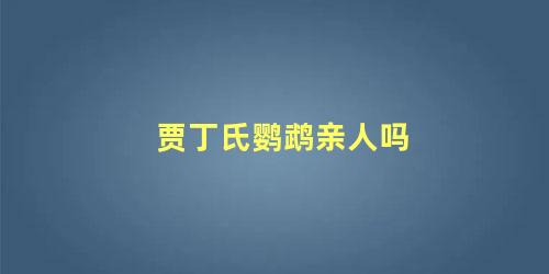贾丁氏鹦鹉亲人吗